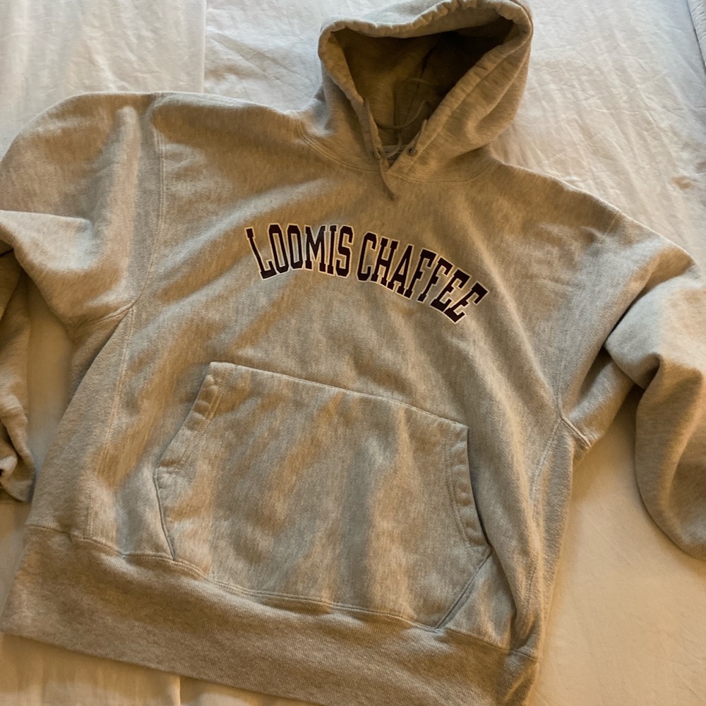 Reverse Weave Hoodie - image 3